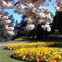 Cannon Hill Park