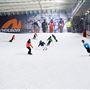 The Snow Centre