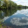 Leybourne Lakes Country Park