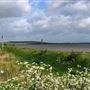 Dartford Marshes