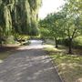 Central Park - Dartford