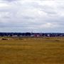 Ham Marshes