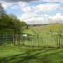 Darenth Country Park
