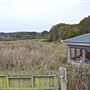 Seaton Wetlands
