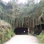 Beer Quarry Caves