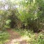 Lower Moor
