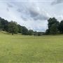 Grounds and Road, Sandon Hall