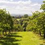 Harry's Cider Farm