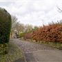 Firwood Fold, Bolton