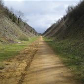 Sewell Cutting