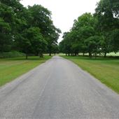 Windsor Great Park
