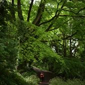 St Giles Hill