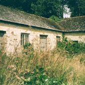 Penjerrick