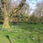 Belfairs Park