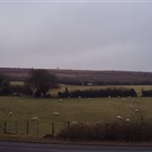 Mendips