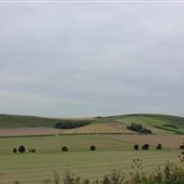 MOD - Salisbury Plain