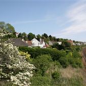 Leigh Cliffs