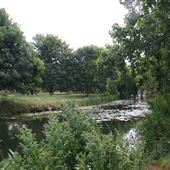 Central Park