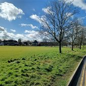 Cranleigh Common