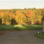 Hillhouse Farm Walpole