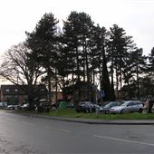 Newtown (residential street)