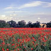 Kirton