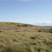 Baildon Moor, Bradford
