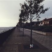 Riverside Walk, Maldon Drive