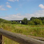 Sankey Valley Country Park