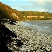 Flamborough Head