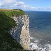 Bempton Cliffs
