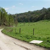 NT - Woodchester Park