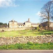 Fourstones