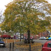 Harpenden Town