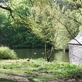 Knebworth House - Lake