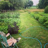 Birch Farm