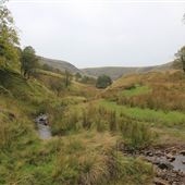 MOD - Holcombe Moor