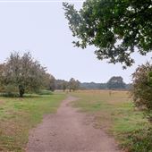Dartford Heath