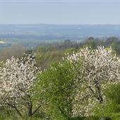 Ulcombe Village