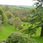 Sheplegh Court