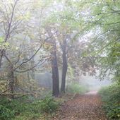 KCC Country Parks - Trosley