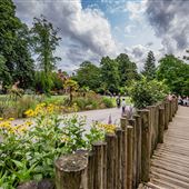 Chester Zoo Oakfield Gardens