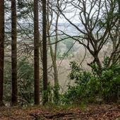 FE - Bury Hill