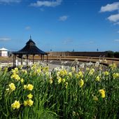 THe Oval Bandstand and Lawns