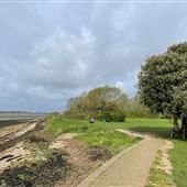 Portchester Shoreline