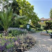 Sensory Garden of Reflection