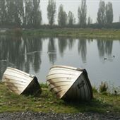 Eternal Lake & Fisheries (Previously Buckland Lake)