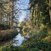 Lake, Bridge and River, Weston Park