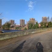Balfour Estate, Tamworth