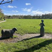 Birchwood Forest Park